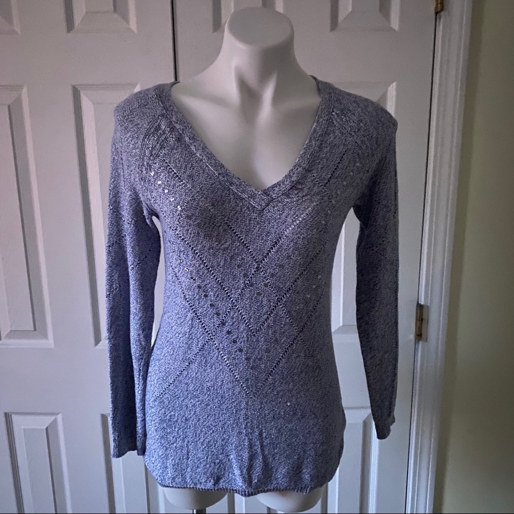 Blue and Silver V-neck Sweater